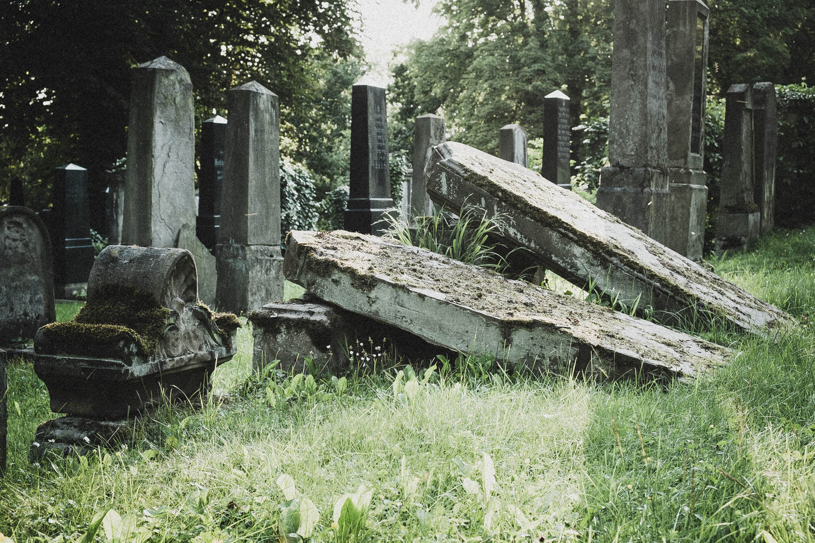 Jüdischer Friedhof Kassel-Bettenhausen